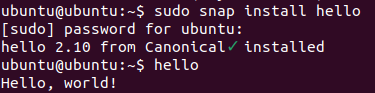 Screenshot of a sample snap installation